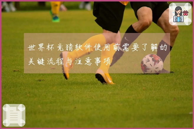 世界杯竞猜软件使用前需要了解的关键流程与注意事项