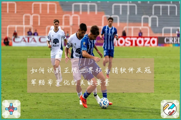 如何识别正规世界杯竞猜软件及冠军赔率变化的关键要素